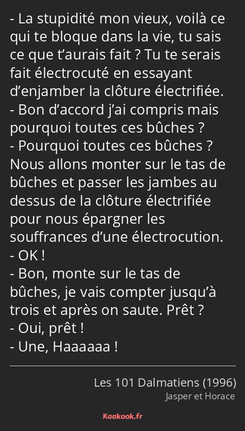 La stupidité mon vieux, voilà ce qui te bloque dans la vie, tu sais ce que t’aurais fait ? Tu te…