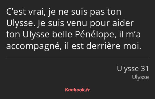 C’est vrai, je ne suis pas ton Ulysse. Je suis venu pour aider ton Ulysse belle Pénélope, il m’a…