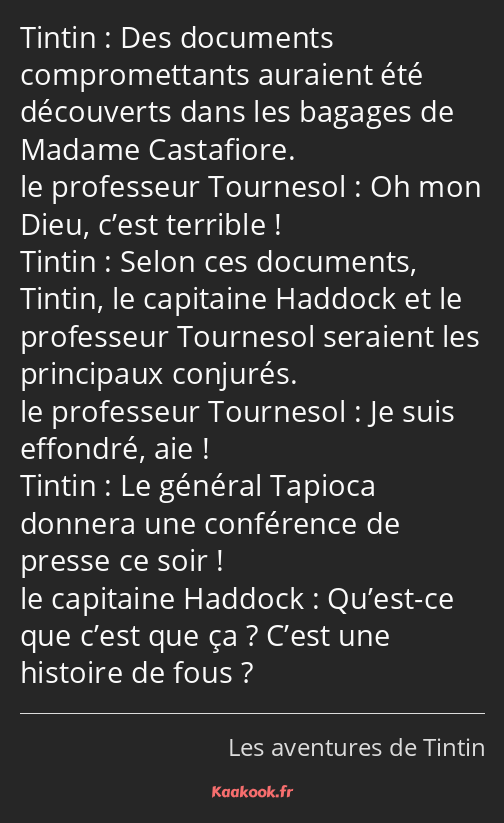 Des documents compromettants auraient été découverts dans les bagages de Madame Castafiore. Oh mon…