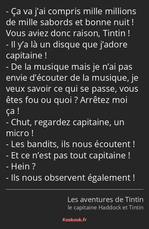 Ça va j’ai compris mille millions de mille sabords et bonne nuit ! Vous aviez donc raison, Tintin…