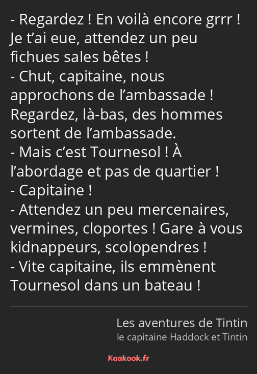Regardez ! En voilà encore grrr ! Je t’ai eue, attendez un peu fichues sales bêtes ! Chut…