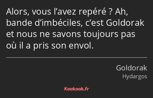 Alors, vous l’avez repéré ? Ah, bande d’imbéciles, c’est Goldorak et nous ne savons toujours pas où…
