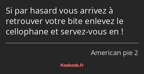 Si par hasard vous arrivez à retrouver votre bite enlevez le cellophane et servez-vous en !