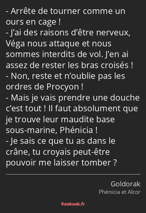Arrête de tourner comme un ours en cage ! J’ai des raisons d’être nerveux, Véga nous attaque et…