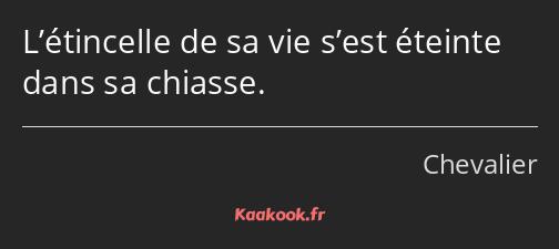 L’étincelle de sa vie s’est éteinte dans sa chiasse.