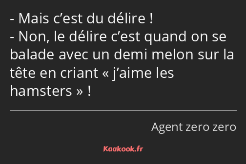 Mais c’est du délire ! Non, le délire c’est quand on se balade avec un demi melon sur la tête en…