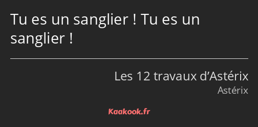 Tu es un sanglier ! Tu es un sanglier !