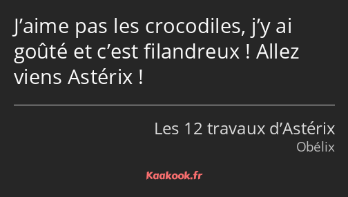 J’aime pas les crocodiles, j’y ai goûté et c’est filandreux ! Allez viens Astérix !