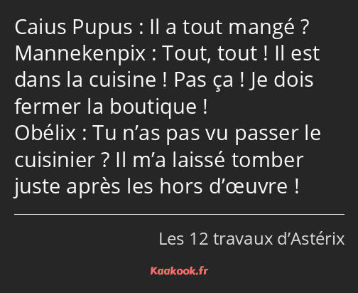 Il a tout mangé ? Tout, tout ! Il est dans la cuisine ! Pas ça ! Je dois fermer la boutique ! Tu…