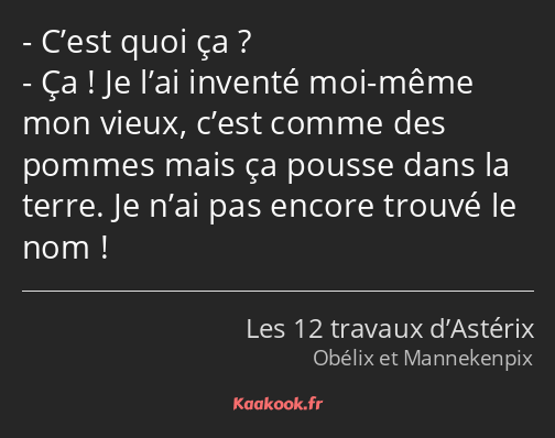 C’est quoi ça ? Ça ! Je l’ai inventé moi-même mon vieux, c’est comme des pommes mais ça pousse dans…
