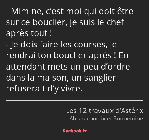Mimine, c’est moi qui doit être sur ce bouclier, je suis le chef après tout ! Je dois faire les…