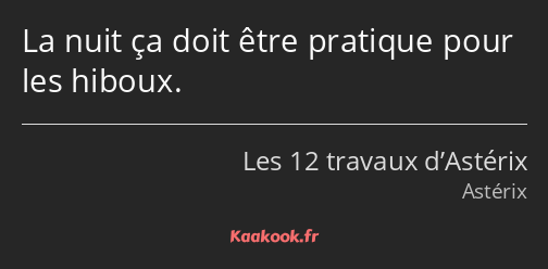 La nuit ça doit être pratique pour les hiboux.