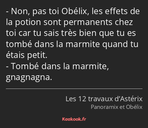 Non, pas toi Obélix, les effets de la potion sont permanents chez toi car tu sais très bien que tu…