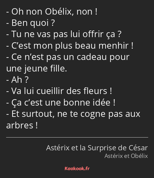 Oh non Obélix, non ! Ben quoi ? Tu ne vas pas lui offrir ça ? C’est mon plus beau menhir ! Ce n’est…