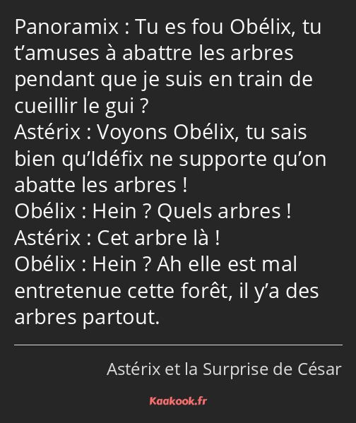 Tu es fou Obélix, tu t’amuses à abattre les arbres pendant que je suis en train de cueillir le gui…
