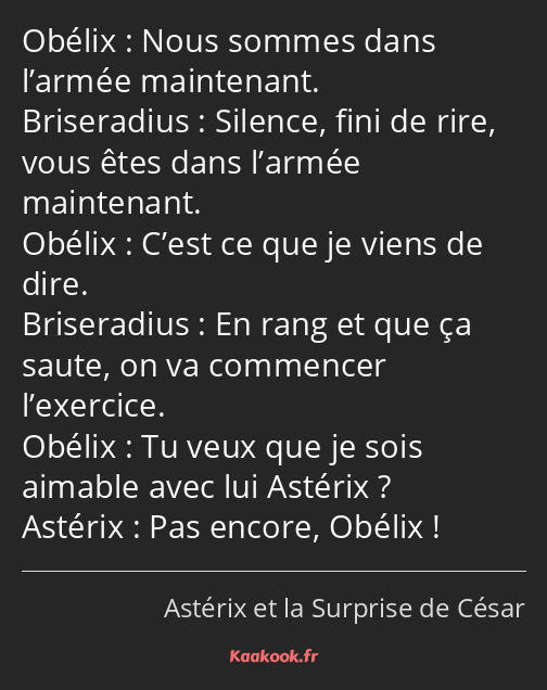 Nous sommes dans l’armée maintenant. Silence, fini de rire, vous êtes dans l’armée maintenant…