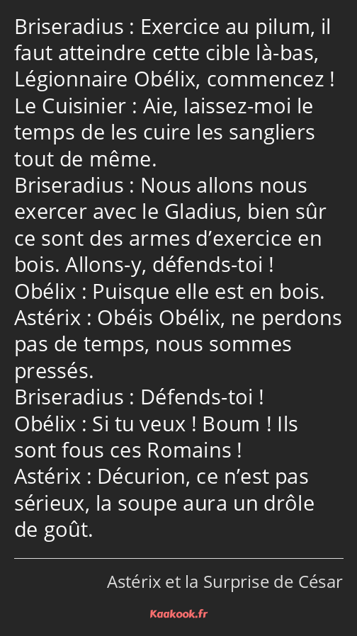 Exercice au pilum, il faut atteindre cette cible là-bas, Légionnaire Obélix, commencez ! Aie…