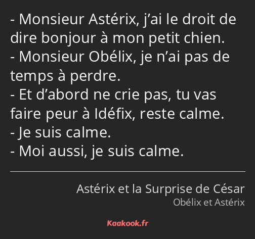 Monsieur Astérix, j’ai le droit de dire bonjour à mon petit chien. Monsieur Obélix, je n’ai pas de…