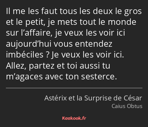 Il me les faut tous les deux le gros et le petit, je mets tout le monde sur l’affaire, je veux les…