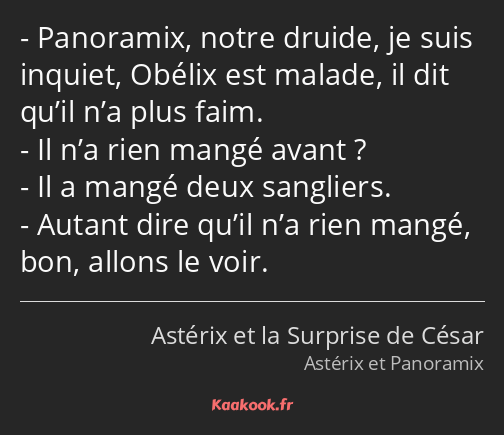 Panoramix, notre druide, je suis inquiet, Obélix est malade, il dit qu’il n’a plus faim. Il n’a…
