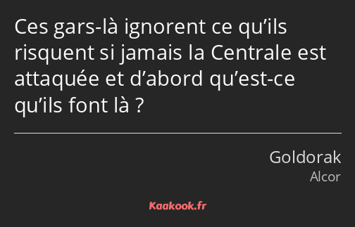 Ces gars-là ignorent ce qu’ils risquent si jamais la Centrale est attaquée et d’abord qu’est-ce…