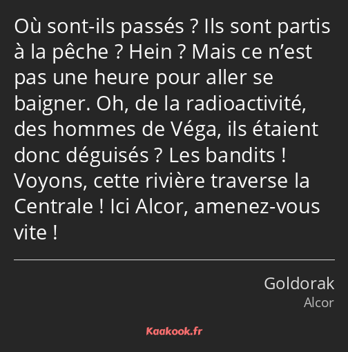Où sont-ils passés ? Ils sont partis à la pêche ? Hein ? Mais ce n’est pas une heure pour aller se…