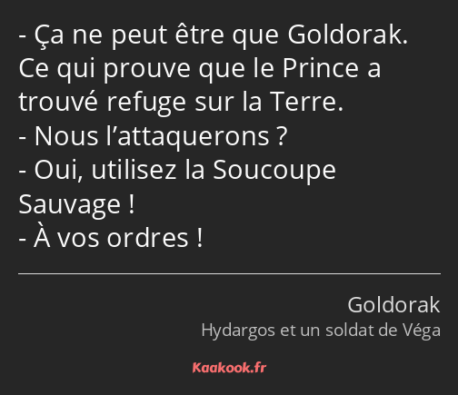 Ça ne peut être que Goldorak. Ce qui prouve que le Prince a trouvé refuge sur la Terre. Nous…