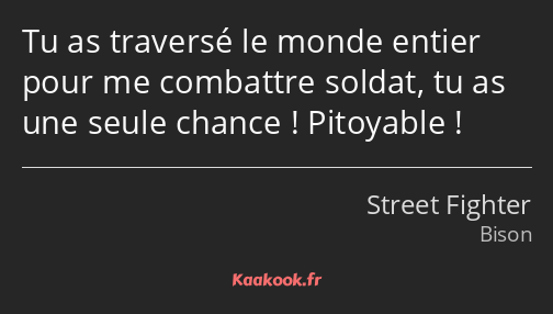 Tu as traversé le monde entier pour me combattre soldat, tu as une seule chance ! Pitoyable !