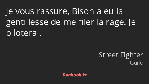 Je vous rassure, Bison a eu la gentillesse de me filer la rage. Je piloterai.