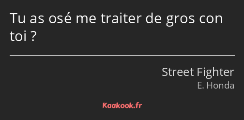Tu as osé me traiter de gros con toi ?