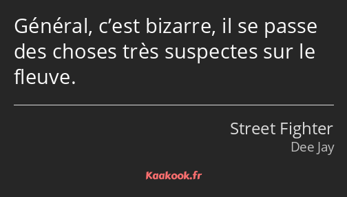 Général, c’est bizarre, il se passe des choses très suspectes sur le fleuve.