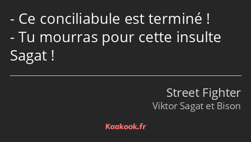 Ce conciliabule est terminé ! Tu mourras pour cette insulte Sagat !