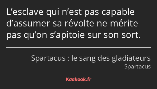 L’esclave qui n’est pas capable d’assumer sa révolte ne mérite pas qu’on s’apitoie sur son sort.