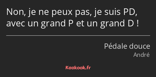 Non, je ne peux pas, je suis PD, avec un grand P et un grand D !