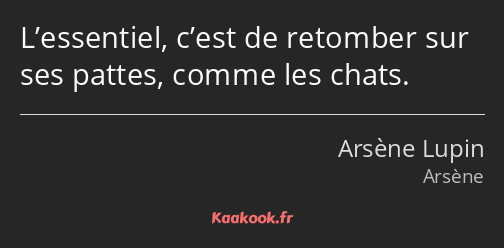 L’essentiel, c’est de retomber sur ses pattes, comme les chats.