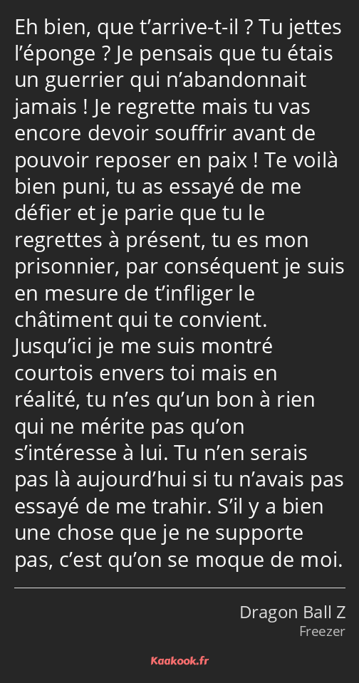 Eh bien, que t’arrive-t-il ? Tu jettes l’éponge ? Je pensais que tu étais un guerrier qui…