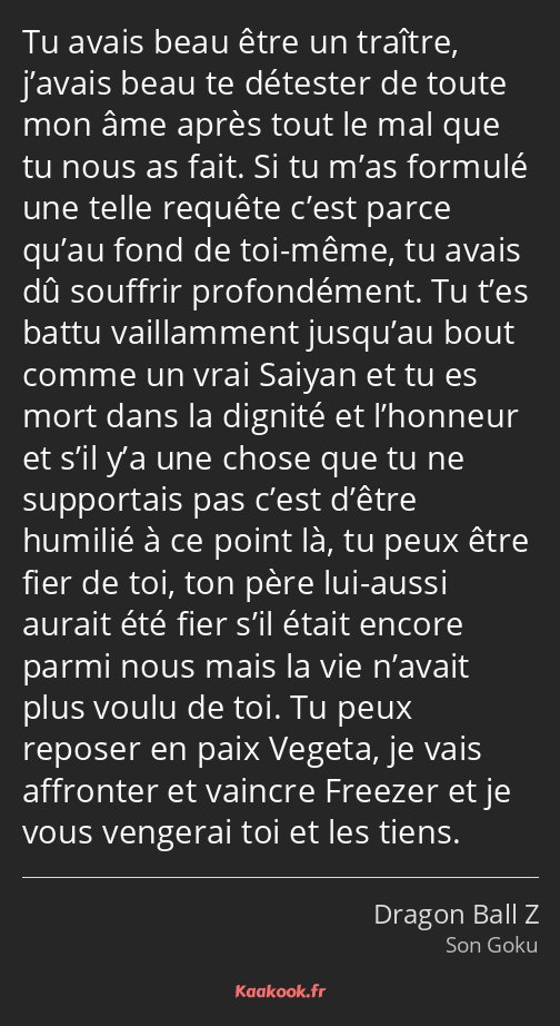Tu avais beau être un traître, j’avais beau te détester de toute mon âme après tout le mal que tu…