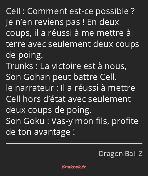 Comment est-ce possible ? Je n’en reviens pas ! En deux coups, il a réussi à me mettre à terre avec…