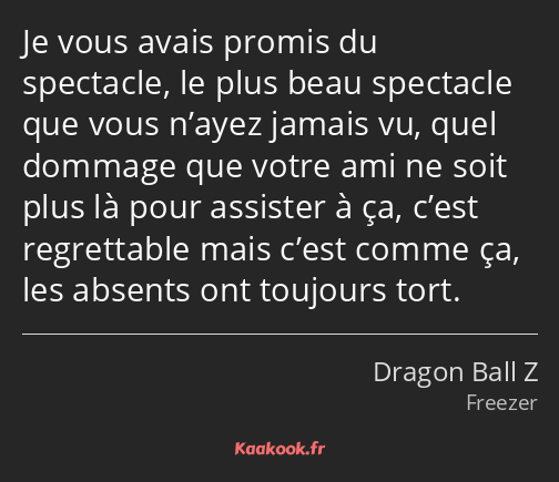 Je vous avais promis du spectacle, le plus beau spectacle que vous n’ayez jamais vu, quel dommage…