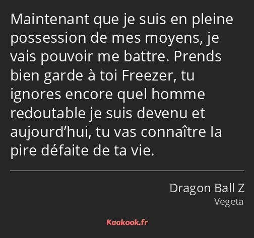 Maintenant que je suis en pleine possession de mes moyens, je vais pouvoir me battre. Prends bien…