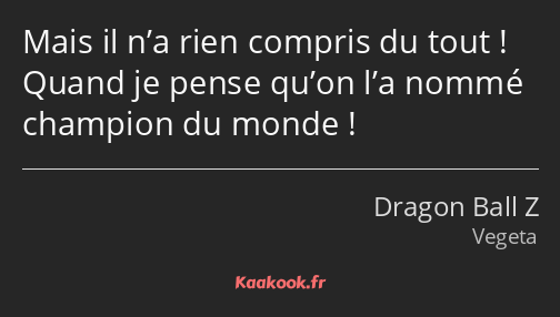 Mais il n’a rien compris du tout ! Quand je pense qu’on l’a nommé champion du monde !