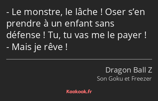 Le monstre, le lâche ! Oser s’en prendre à un enfant sans défense ! Tu, tu vas me le payer ! Mais…