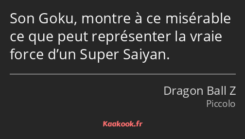 Son Goku, montre à ce misérable ce que peut représenter la vraie force d’un Super Saiyan.