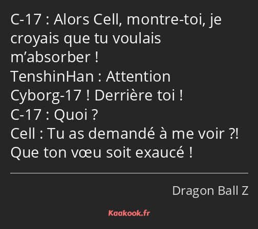 Alors Cell, montre-toi, je croyais que tu voulais m’absorber ! Attention Cyborg-17 ! Derrière toi…