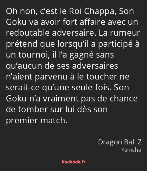 Oh non, c’est le Roi Chappa, Son Goku va avoir fort affaire avec un redoutable adversaire. La…