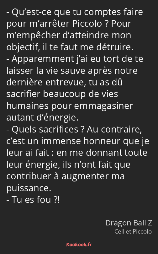 Qu’est-ce que tu comptes faire pour m’arrêter Piccolo ? Pour m’empêcher d’atteindre mon objectif…