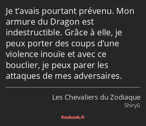 Je t’avais pourtant prévenu. Mon armure du Dragon est indestructible. Grâce à elle, je peux porter…