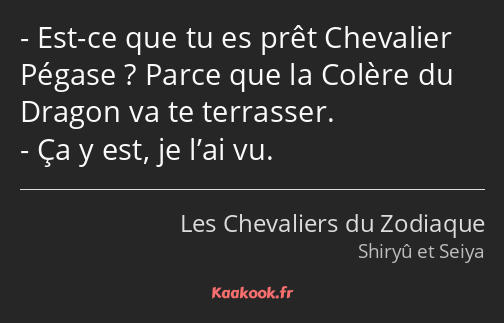 Est-ce que tu es prêt Chevalier Pégase ? Parce que la Colère du Dragon va te terrasser. Ça y est…
