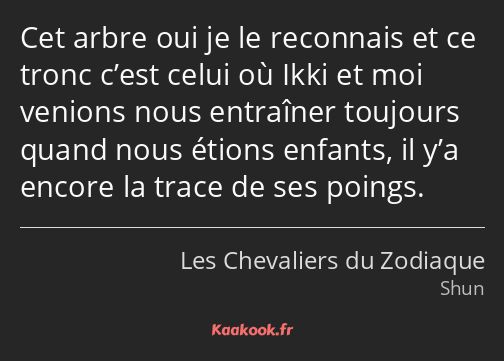 Cet arbre oui je le reconnais et ce tronc c’est celui où Ikki et moi venions nous entraîner…