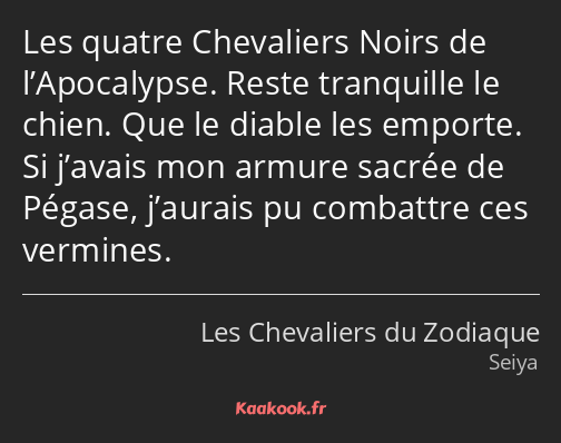 Les quatre Chevaliers Noirs de l’Apocalypse. Reste tranquille le chien. Que le diable les emporte…